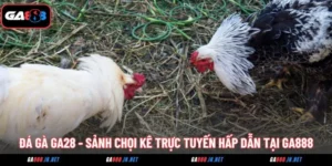da ga ga28 sanh choi ke truc tuyen hap dan tai ga888