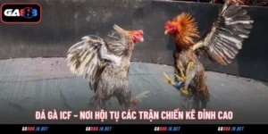 da ga icf noi hoi tu cac tran chien ke dinh cao