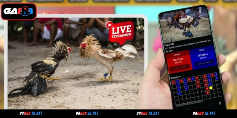 Đá Gà CPC2 Tại GA888 – Sân Chơi Của Những Chiến Kê Huyền Thoại 3 Lý do GA888 là trạm dừng chân lý tưởng cho tín đồ đá gà CPC2